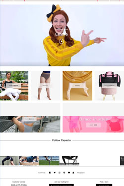 Hosting Company Layout Preview